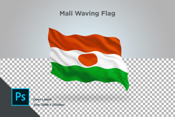 Evaluating the Mali Waving Flag: A Practical Guide for Decision-Makers