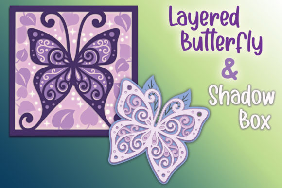 The Art and Appeal of the Layered Butterfly Shadow Box
